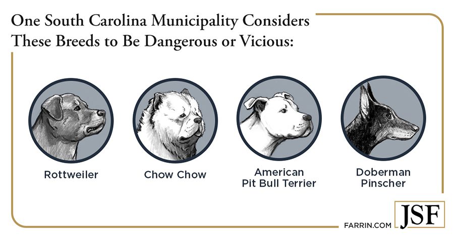 One SC municipality considers pit bulls, rottweilers, dobermans, and chow chows to be dangerous.